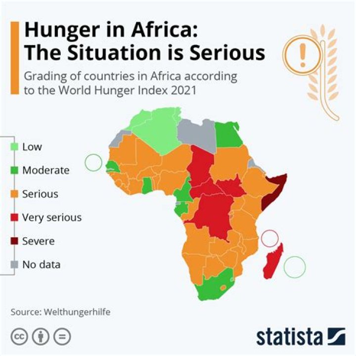 Why does Africa have no food?