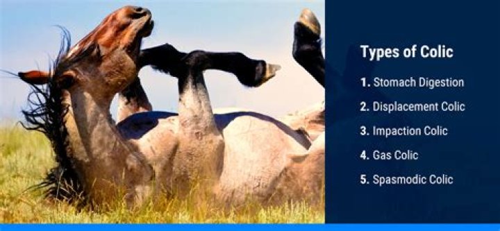 Why does the colic hold work?