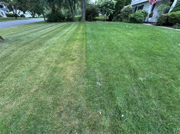 Why is grass brown after I mow?