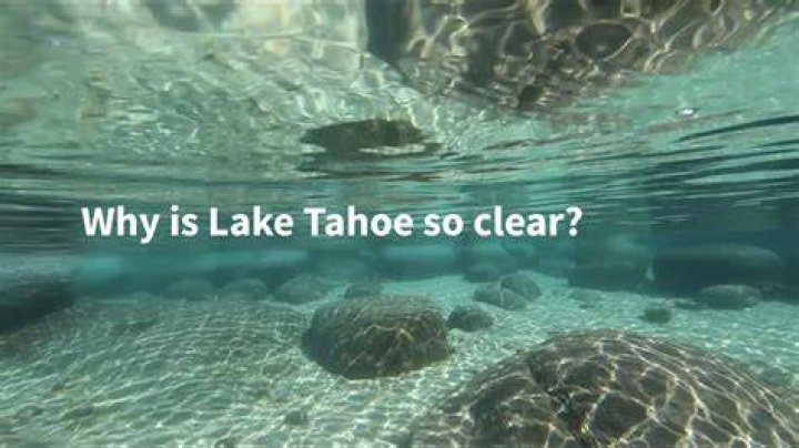 Why is Lake Tahoe water so clear?