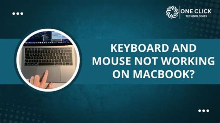 Why is my mouse on my keyboard not working?