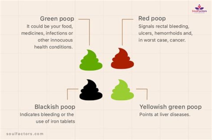 Why is my poop light green?