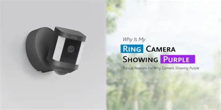 Why is my Ring camera purple?