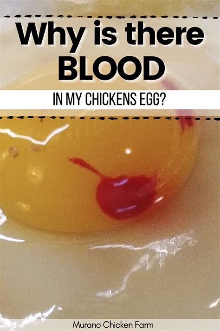 Why is there still blood in my chicken?
